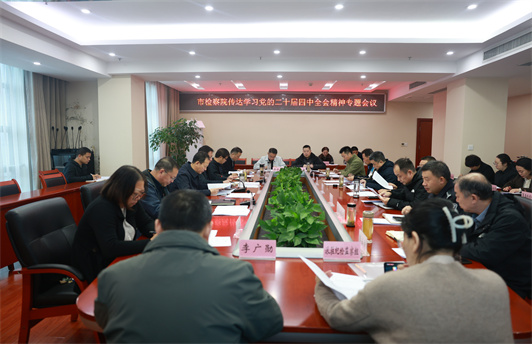 襄阳市人民检察院传达学习党的二十届四中全会精神